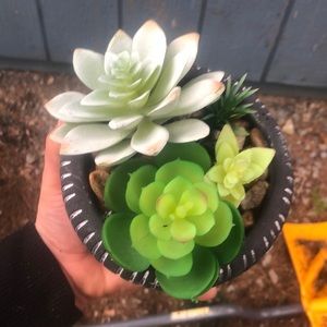 Really cute fake plant decoration